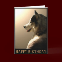 Siberian Husky Card / Alaskan Malamute Card cards