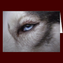 Siberian Husky Card Alaskan Malamute Card cards