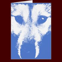 Siberian Husky Card / Alaskan Malamute Card cards