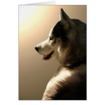 Siberian Husky Card / Alaskan Malamute Card