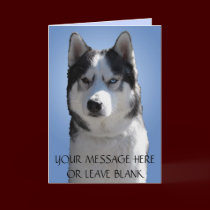 Siberian Husky Card / Alaskan Malamute Card Blank