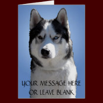 Siberian Husky Card / Alaskan Malamute Card Blank cards