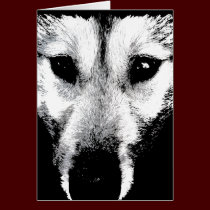 Siberian Husky Card Malamute Wolf Dog Card cards