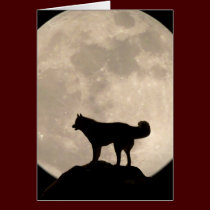 Siberian Husky Card Malamute Wolf Dog Card cards