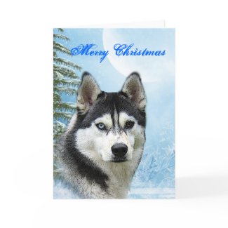 Siberian Husky Christmas Card card