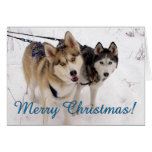 Siberian Husky Christmas Card