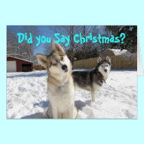 Siberian Husky Christmas Card cards
