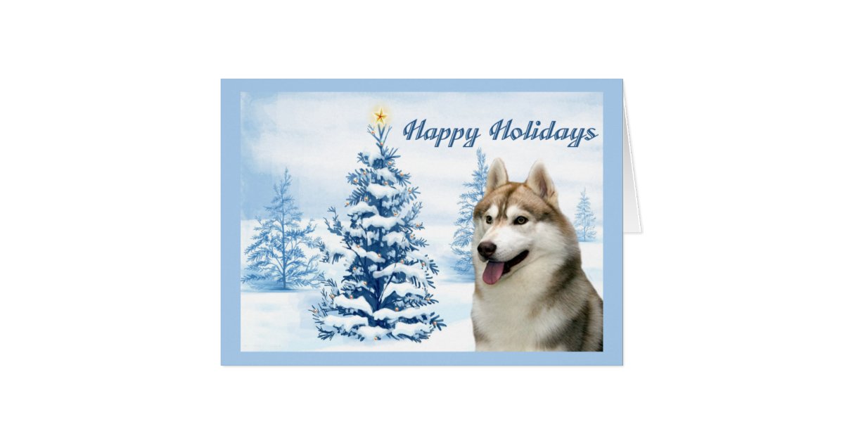 Siberian Husky Christmas Cards 
