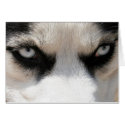 Siberian Husky Demon 4 card