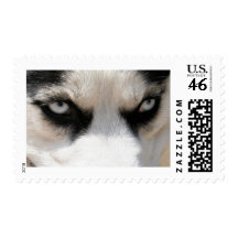 Siberian Husky Demon 4 Postage