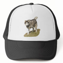 Siberian Husky Dog hats