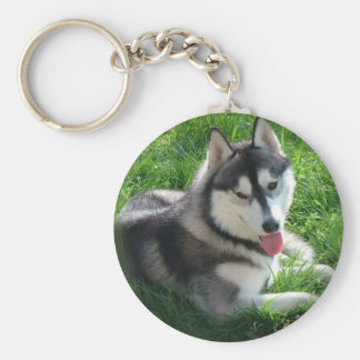 husky plush keychain