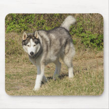 Siberian Husky Dog Mouse Mats