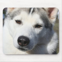 Siberian Husky Dog Mouse Pad