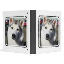 Siberian Husky Dog Photo Binder