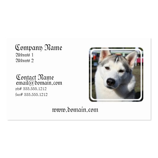 Siberian Husky Dog Photo Business Card