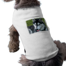 Siberian Husky Dog Shirt