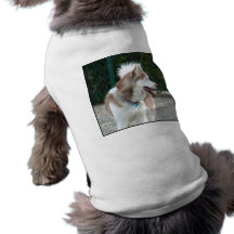 Siberian Husky Doggie T Shirt