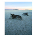 Siberian Husky Dogs, Global Warming posters