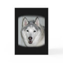 Siberian Husky Greeting Card by MichelleCR Siberian Husky Greeting Card