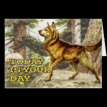 siberian Husky greeting card cards
