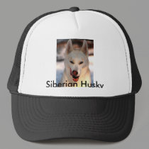Siberian Husky hat by nwillens Siberian Husky hat