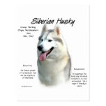 Siberian Husky History Design Post Card
