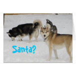 Siberian Husky Holiday Christmas Card