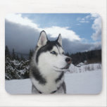 Siberian Husky in the snow. Mousepad