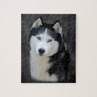 husky puzzle husky puzzle