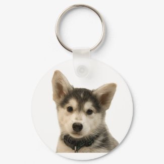 Siberian Husky Keychain keychain