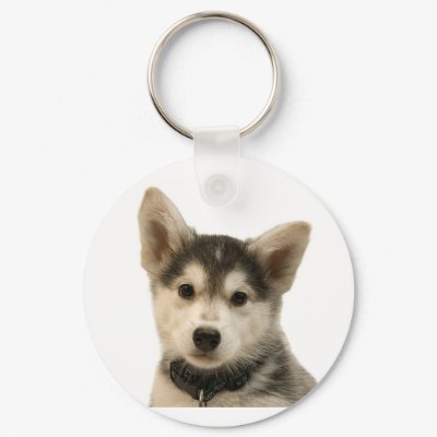 Siberian Husky Keychain