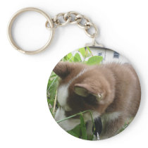 Siberian Husky Keychains