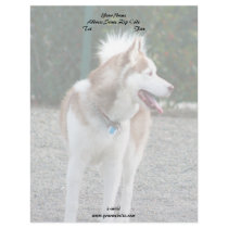 Siberian Husky Letterhead