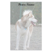 Siberian Husky Letterhead Stationary Custom Stationery