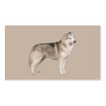 Siberian Husky Lover Business Card