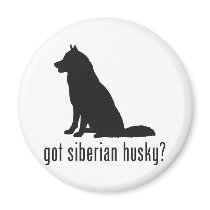Siberian Husky Fridge Magnets