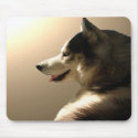 Siberian Husky Mousepad Gifts Malamute Sled Dogs by artist_kim_hunter Siberian Husky Mousepad Gifts Malamute Sled Dogs