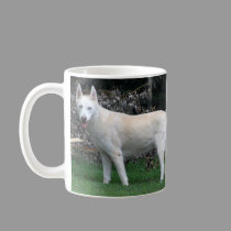 Siberian Husky Mug