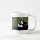 Siberian Husky mug