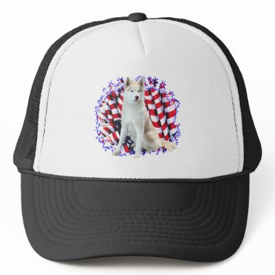 Siberian Husky Patriot Mesh Hat