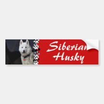 Siberian Husky Photo Bumper Stickers