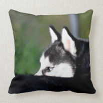 Siberian Husky Pillow