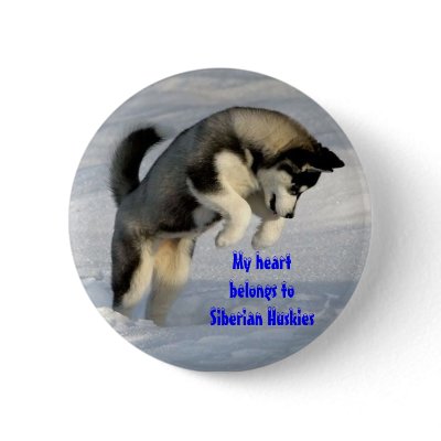 Siberian husky pin Button