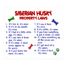 SIBERIAN HUSKY PL2 posters by poochloverstuff SIBERIAN HUSKY PL2 posters