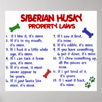SIBERIAN HUSKY PL2 POSTERS