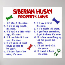 SIBERIAN HUSKY PL2 POSTERS