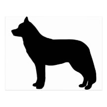 Siberian Husky Post Cards