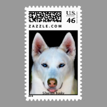 Siberian husky postage postage
