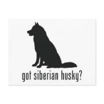 Siberian Husky Post Card